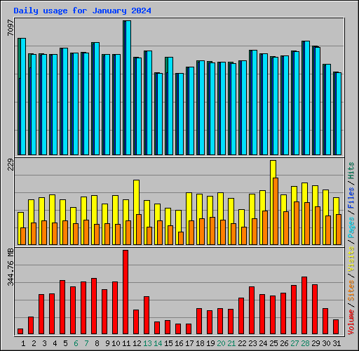 Daily usage for January 2024