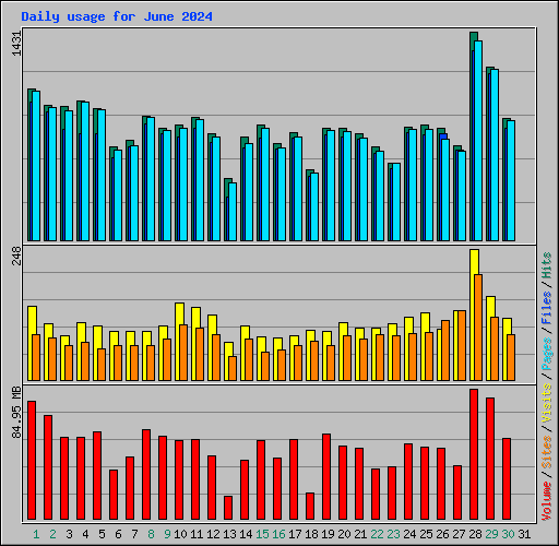 Daily usage for June 2024