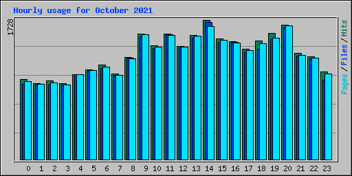 Hourly usage for October 2021