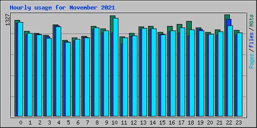 Hourly usage for November 2021