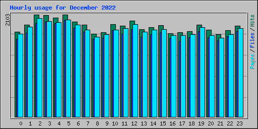 Hourly usage for December 2022