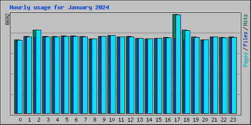 Hourly usage for January 2024