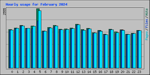 Hourly usage for February 2024