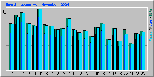 Hourly usage for November 2024