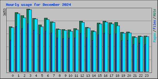 Hourly usage for December 2024