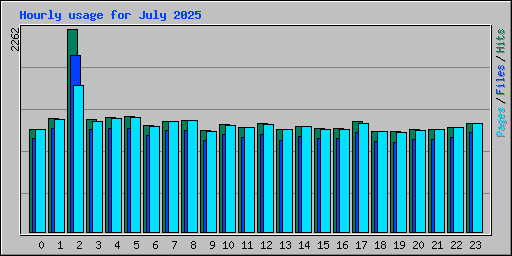 Hourly usage for July 2025