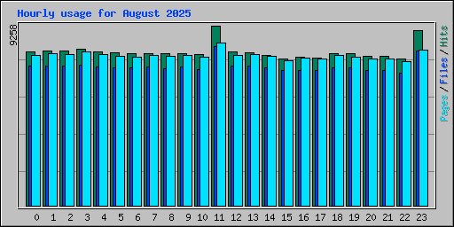 Hourly usage for August 2025