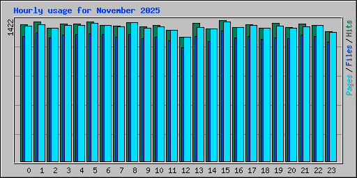 Hourly usage for November 2025