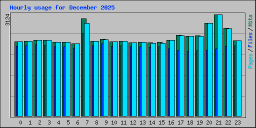 Hourly usage for December 2025