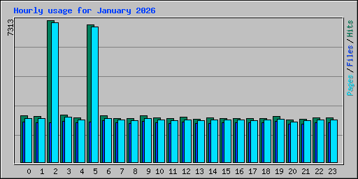 Hourly usage for January 2026
