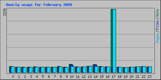 Hourly usage for February 2026