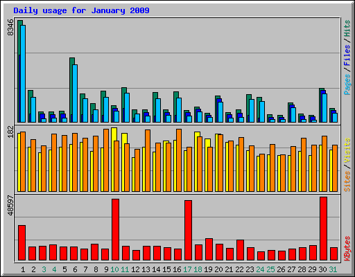 Daily usage for January 2009