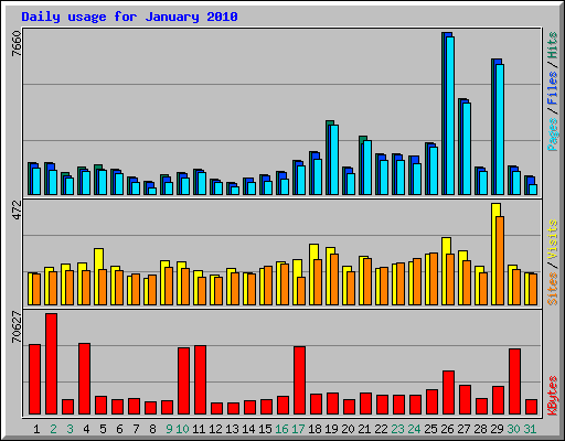 Daily usage for January 2010