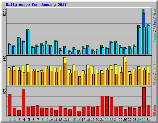 Daily usage for January 2011