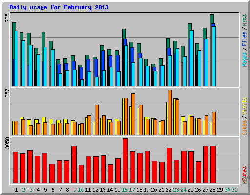 Daily usage for February 2013