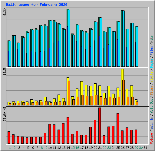 Daily usage for February 2020