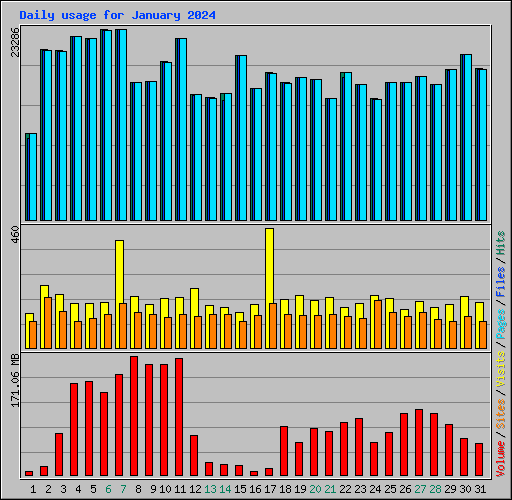 Daily usage for January 2024