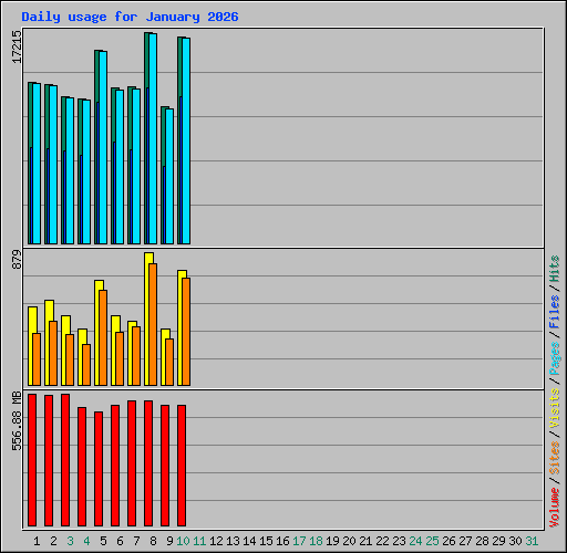 Daily usage for January 2026