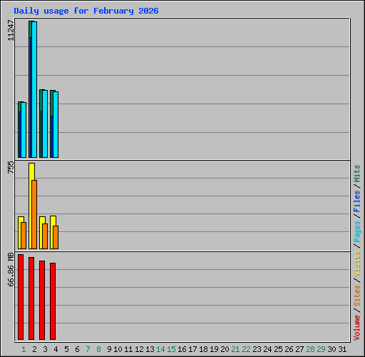 Daily usage for February 2026