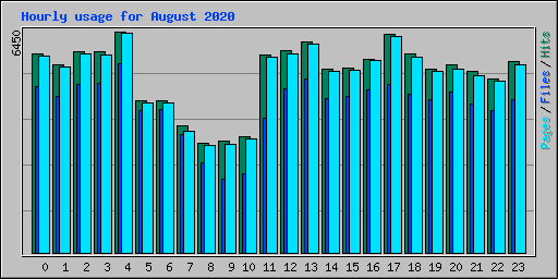 Hourly usage for August 2020