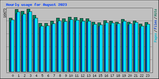 Hourly usage for August 2023