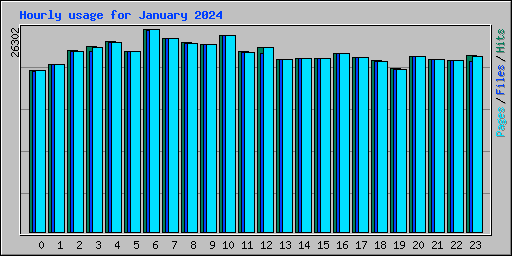 Hourly usage for January 2024