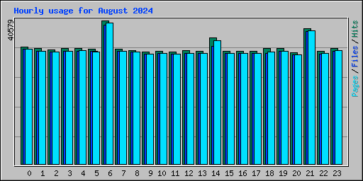 Hourly usage for August 2024