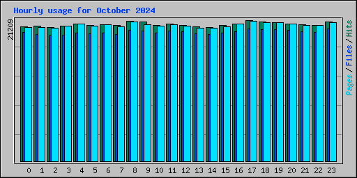 Hourly usage for October 2024