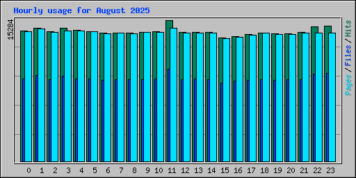 Hourly usage for August 2025