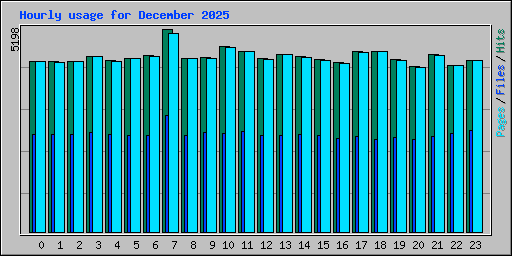 Hourly usage for December 2025
