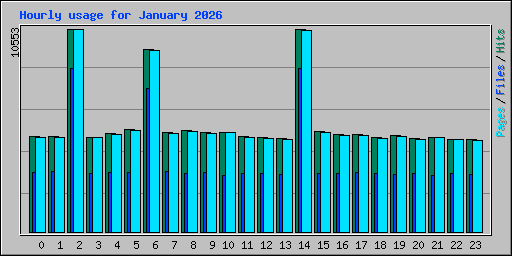 Hourly usage for January 2026