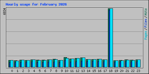 Hourly usage for February 2026
