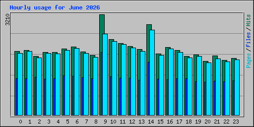 Hourly usage for June 2026