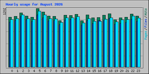 Hourly usage for August 2026