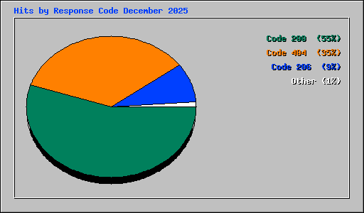 Hits by Response Code December 2025