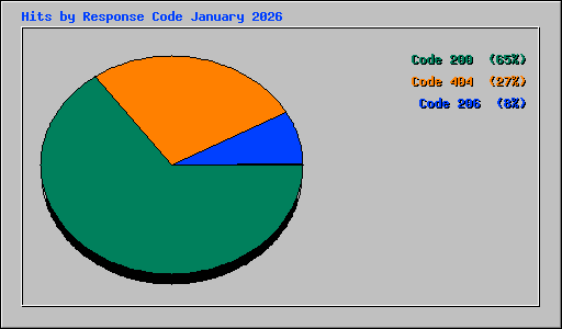 Hits by Response Code January 2026