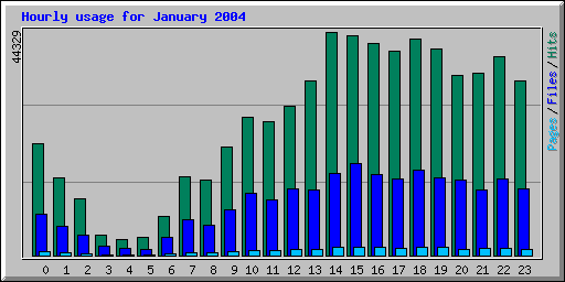 Hourly usage for January 2004