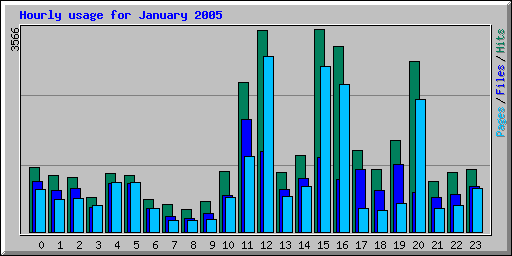 Hourly usage for January 2005