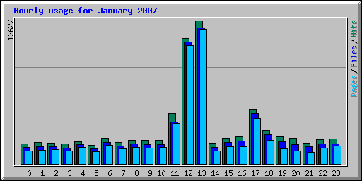 Hourly usage for January 2007