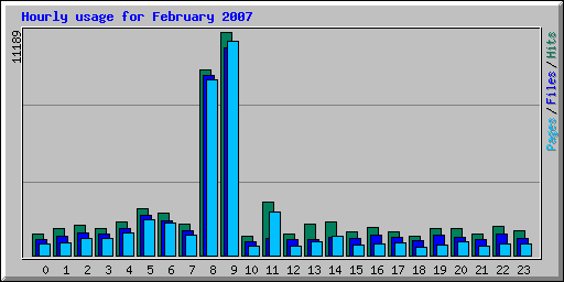 Hourly usage for February 2007