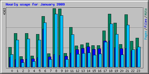 Hourly usage for January 2009