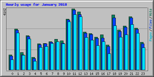 Hourly usage for January 2010