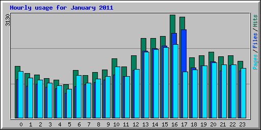 Hourly usage for January 2011