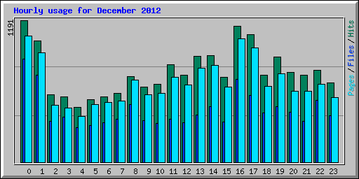 Hourly usage for December 2012