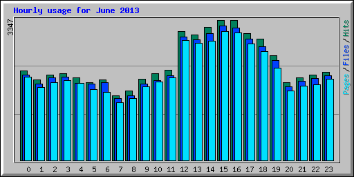 Hourly usage for June 2013