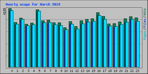 Hourly usage for March 2019