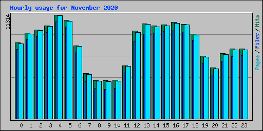 Hourly usage for November 2020