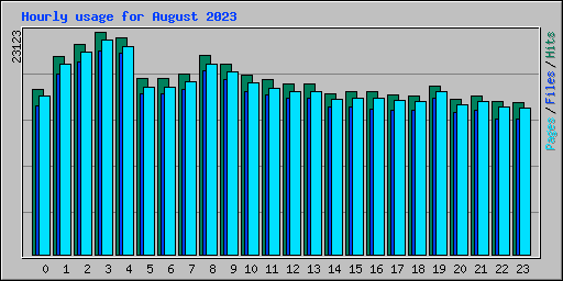 Hourly usage for August 2023