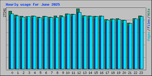 Hourly usage for June 2025