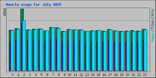 Hourly usage for July 2025